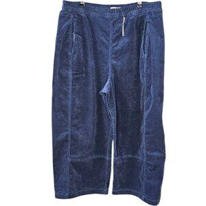 Pilcro Blue Corduroy Pants